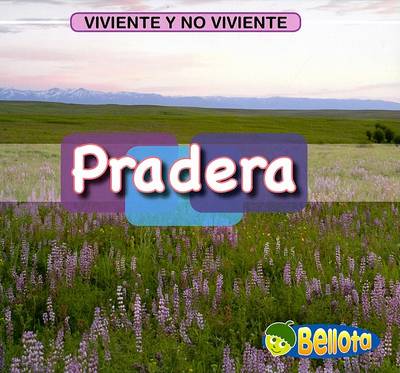 Book cover for Pradera