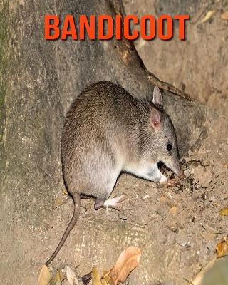 Book cover for Bandicoot