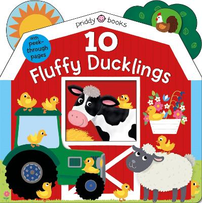 Book cover for 10 Fluffy Ducklings