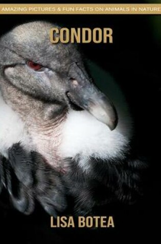 Cover of Condor