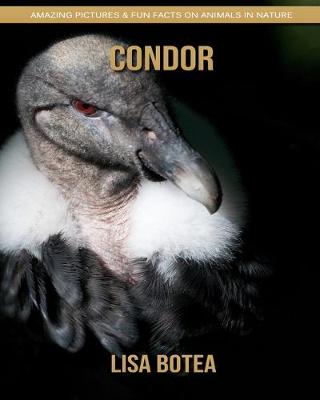 Book cover for Condor