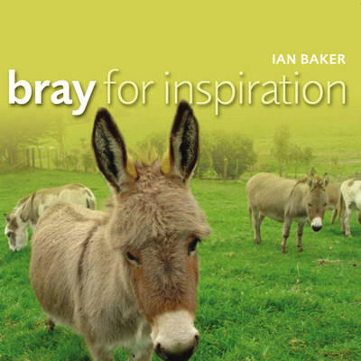 Book cover for Bray for Inspiration