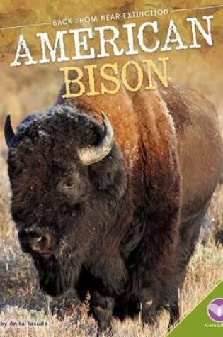 Cover of American Bison