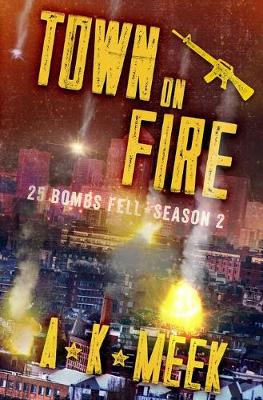 Book cover for Town on Fire