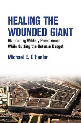 Book cover for Healing the Wounded Giant