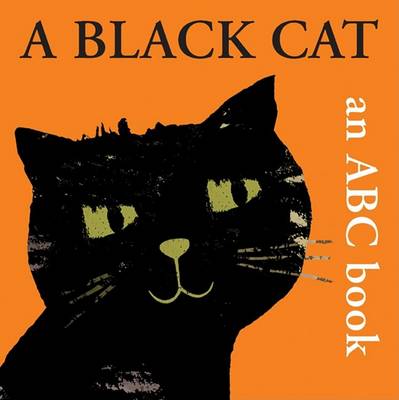 Book cover for A Black Cat