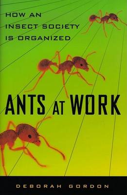 Book cover for Ants at Work: How an Insect Society is Organized