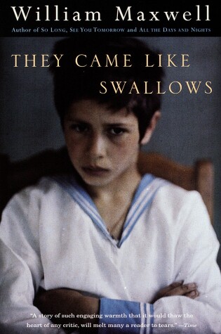 Cover of They Came Like Swallows