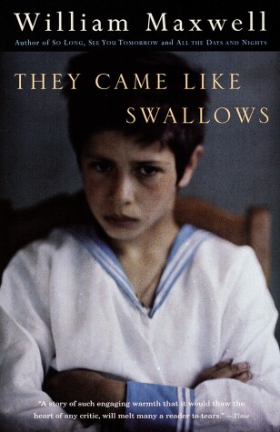 Book cover for They Came Like Swallows