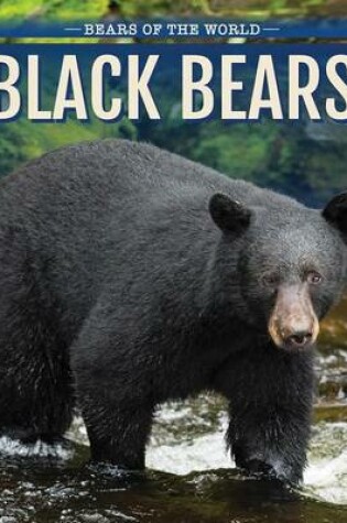 Cover of Black Bears