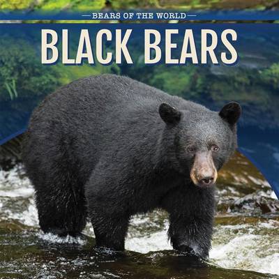 Book cover for Black Bears