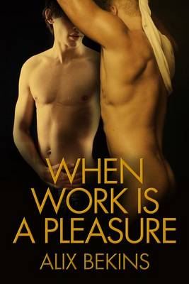 Book cover for When Work Is a Pleasure