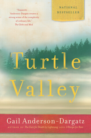 Cover of Turtle Valley