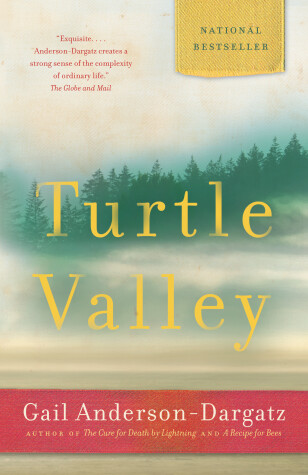 Book cover for Turtle Valley