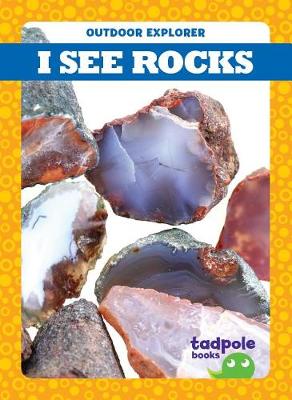 Cover of I See Rocks