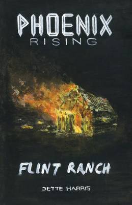 Book cover for Flint Ranch