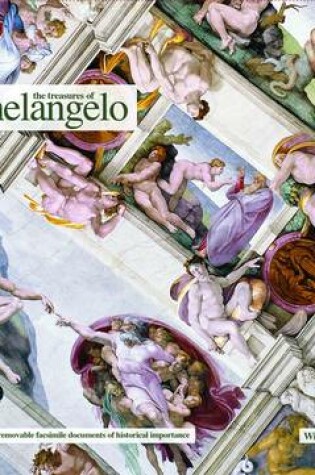 Cover of The Treasures of Michelangelo