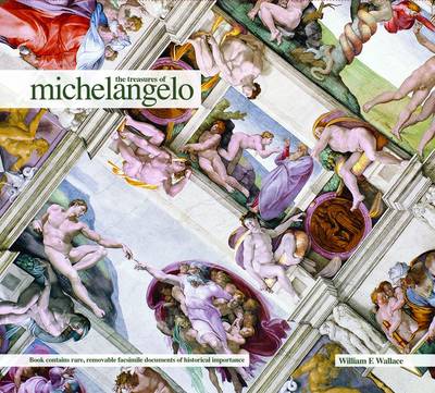 Book cover for The Treasures of Michelangelo