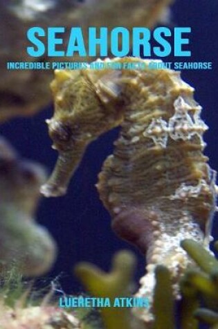 Cover of SeaHorse