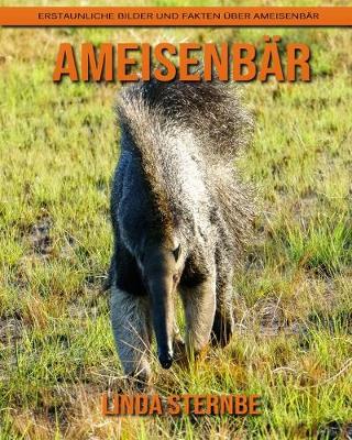 Book cover for Ameisenbär