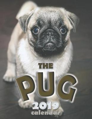 Book cover for The Pug 2019 Calendar