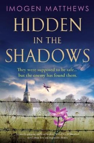 Cover of Hidden in the Shadows
