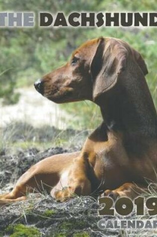 Cover of The Dachshund 2019 Calendar