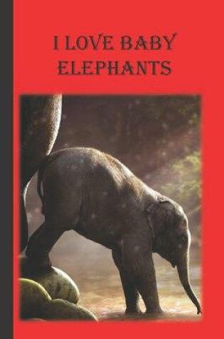 Cover of I Love Baby Elephants