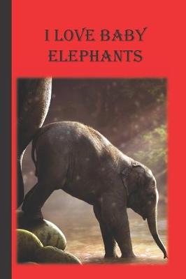 Book cover for I Love Baby Elephants