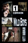 Book cover for Wild Boys