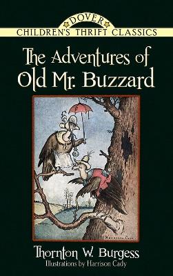 Book cover for The Adventures of Old Mr. Buzzard