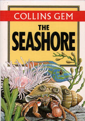 Book cover for Seashore