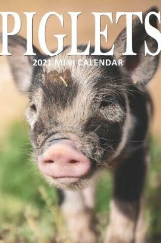 Cover of Piglets