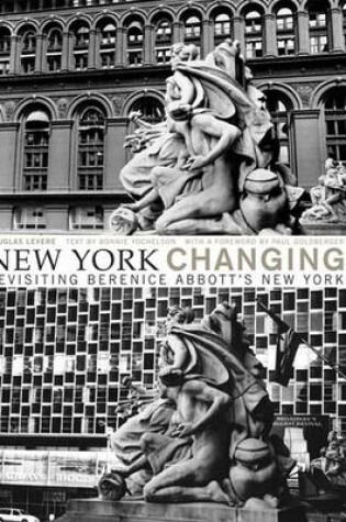 Cover of New York Changing
