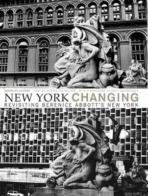 Book cover for New York Changing