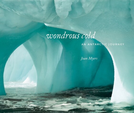 Book cover for Wondrous Cold