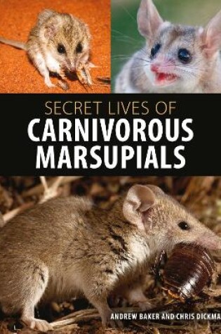 Cover of Secret Lives of Carnivorous Marsupials