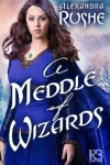 Book cover for A Meddle of Wizards