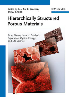 Book cover for Hierarchically Structured Porous Materials – From Nanoscience to Catalysis, Separation, Optics Energy and Life Science