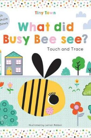 Cover of What did Busy Bee see?