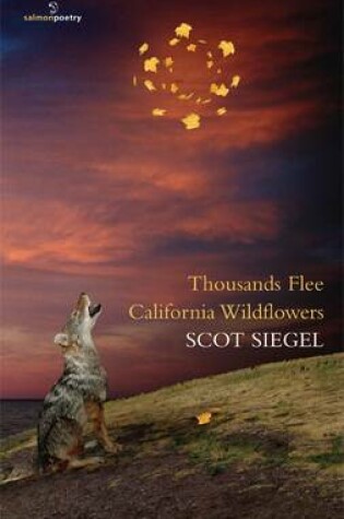 Cover of Thousands Flee California Wildflowers