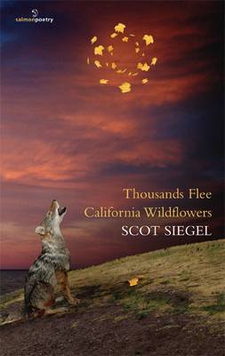 Book cover for Thousands Flee California Wildflowers