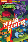 Book cover for Ninja Power