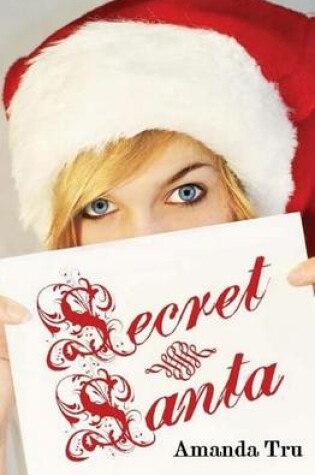 Cover of Secret Santa