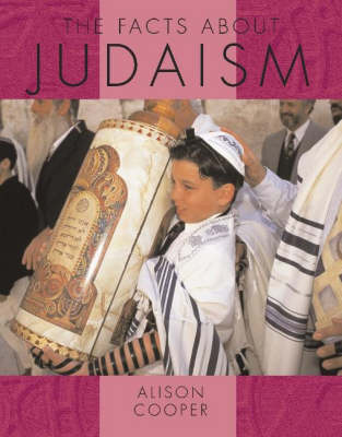 Book cover for The Facts About Judaism (DT)