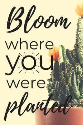 Book cover for Bloom Where You Were Planted