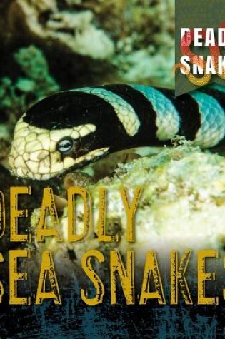 Cover of Deadly Sea Snakes