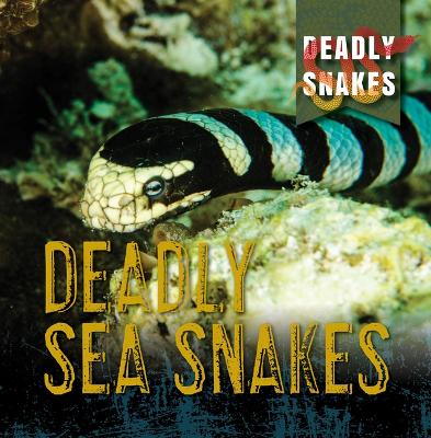 Book cover for Deadly Sea Snakes