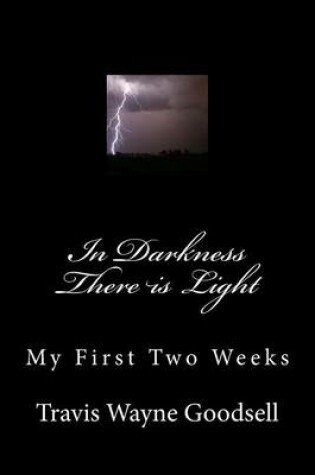 Cover of In Darkness There is Light