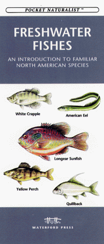 Book cover for Freshwater Fishes